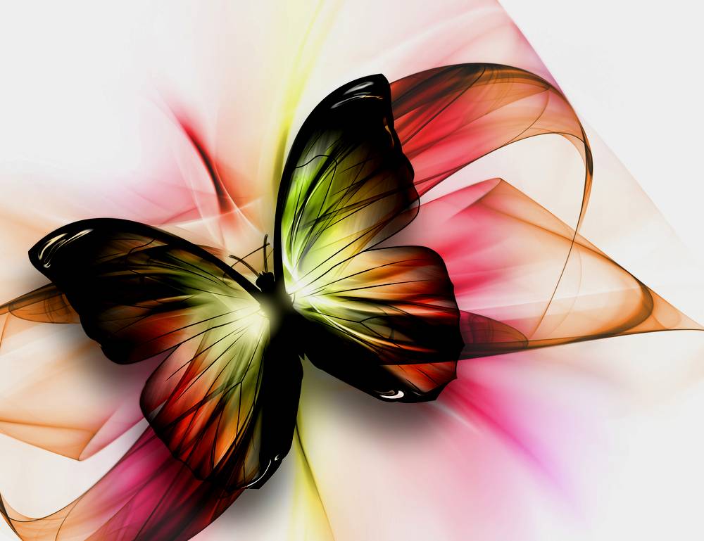 Butterfly Background