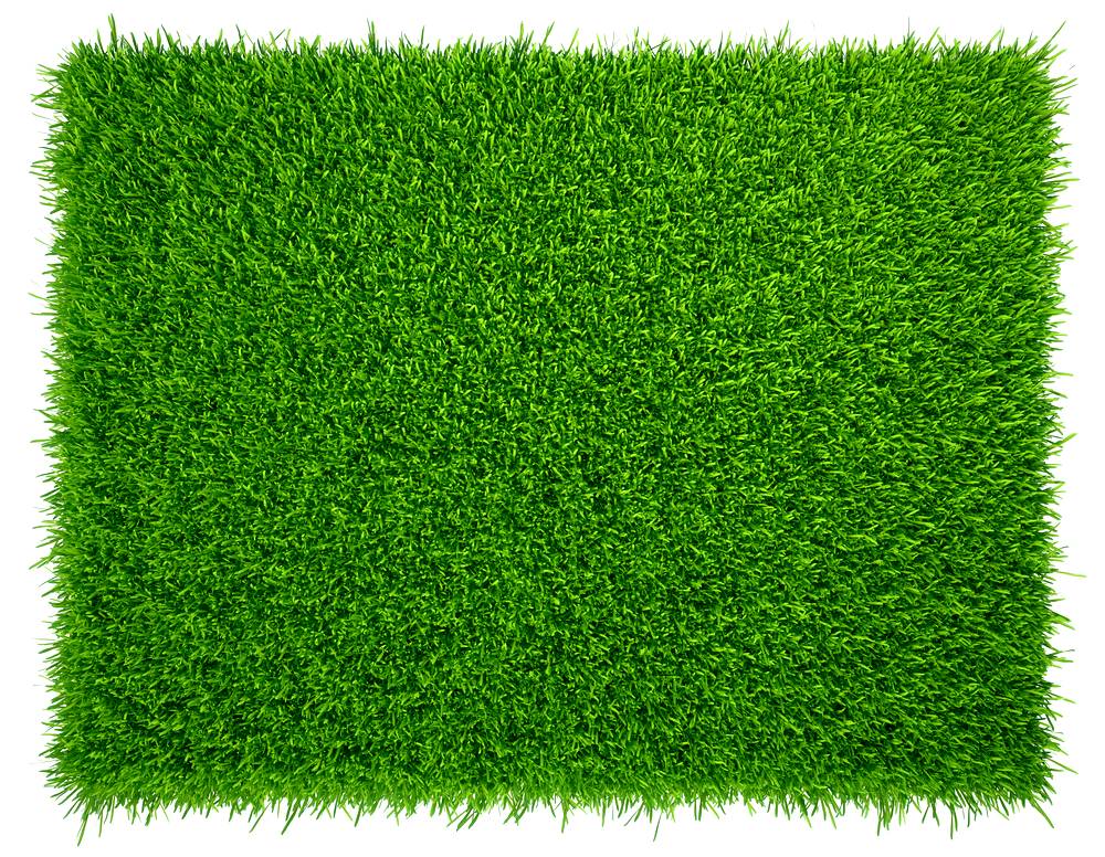 Grass Background