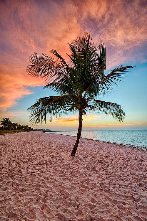 Beach Background