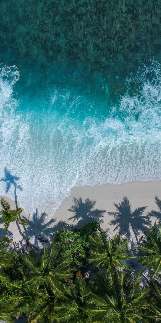 Beach Background