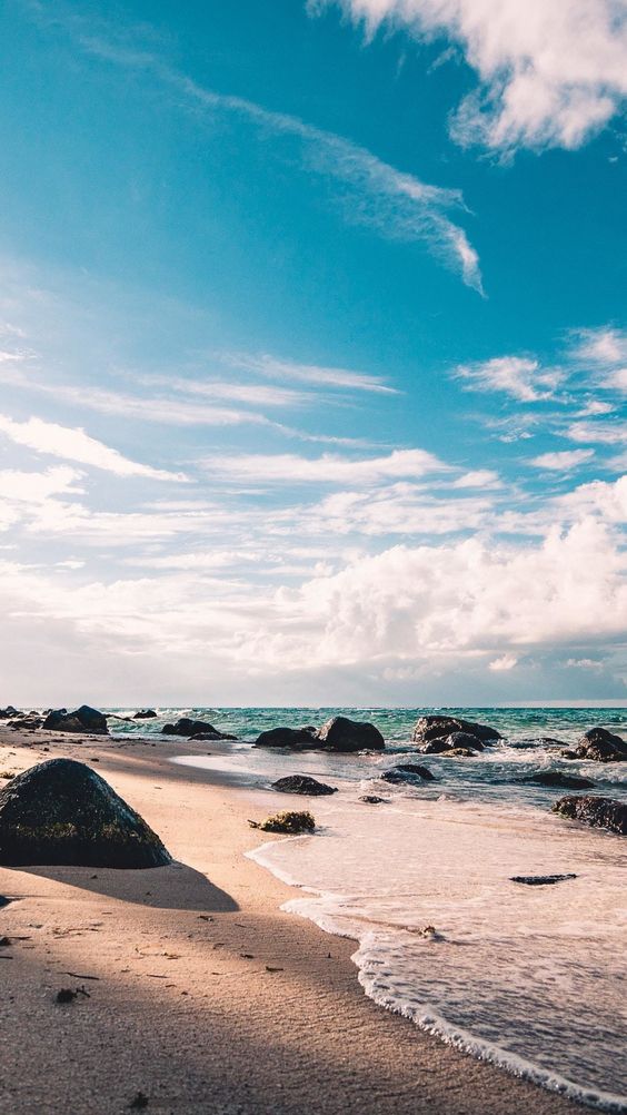 Beach Background