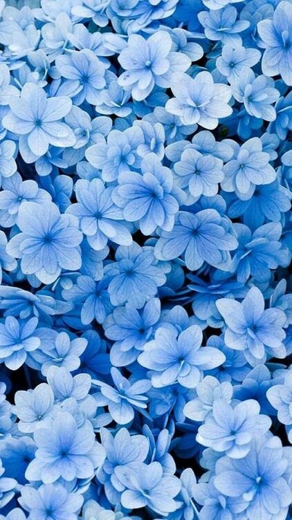 Blue Wallpaper