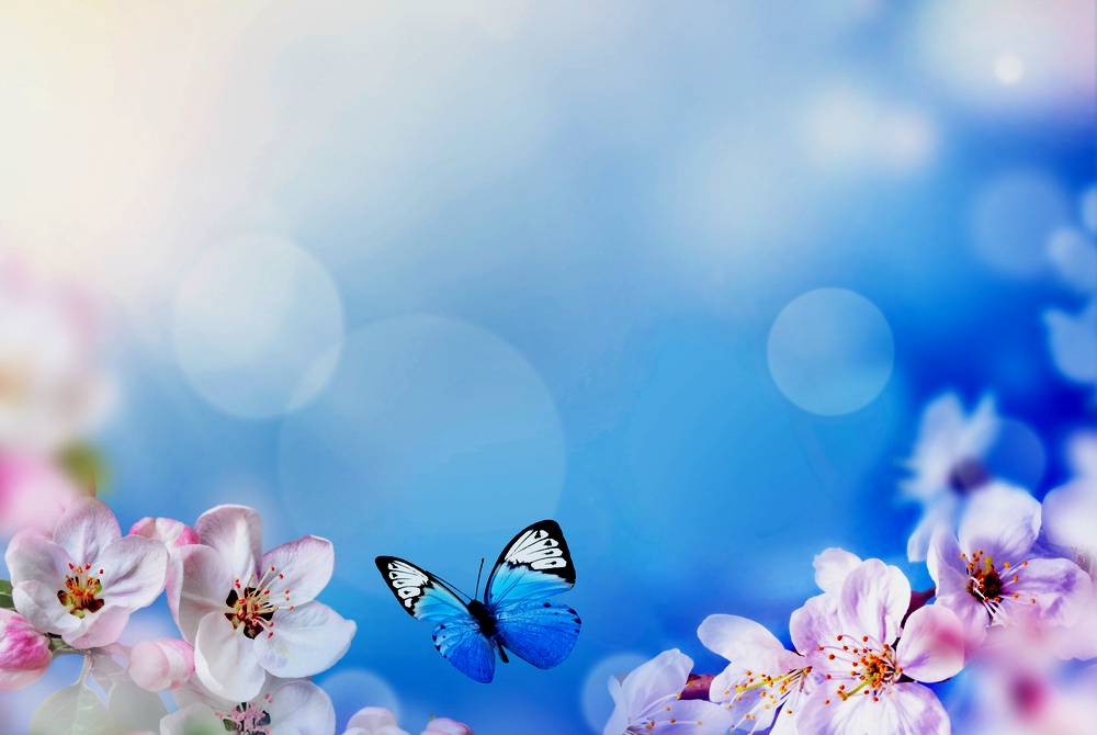 Butterfly Background