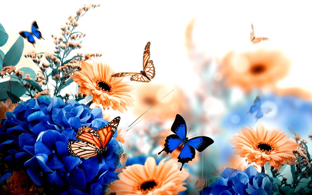 Butterfly Background