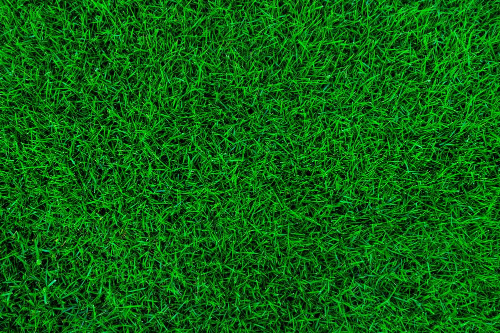 Grass Background