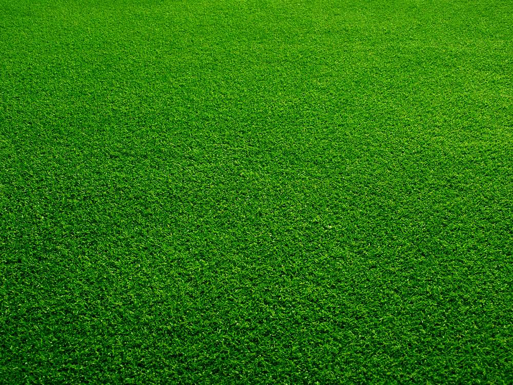 Grass Background