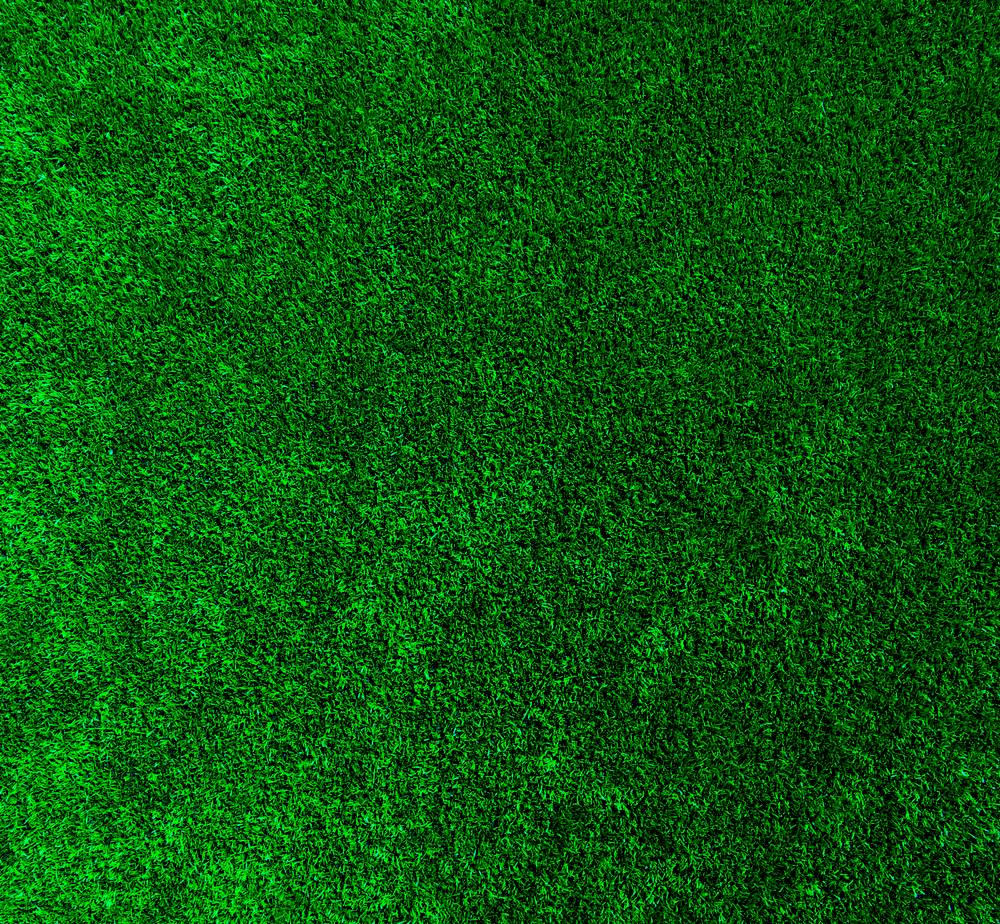 Grass Background