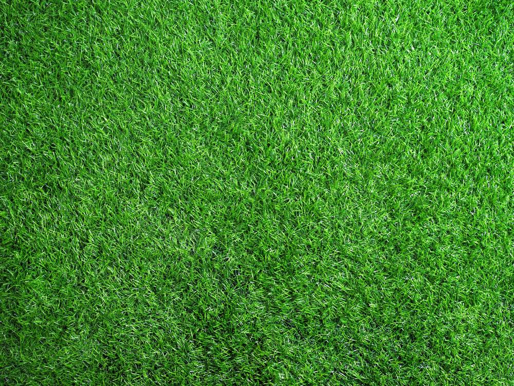 Grass Background