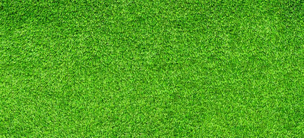 Grass Background