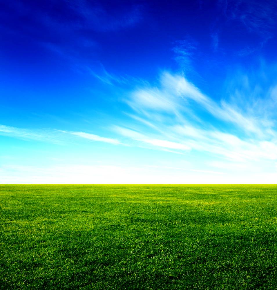 Grass Background