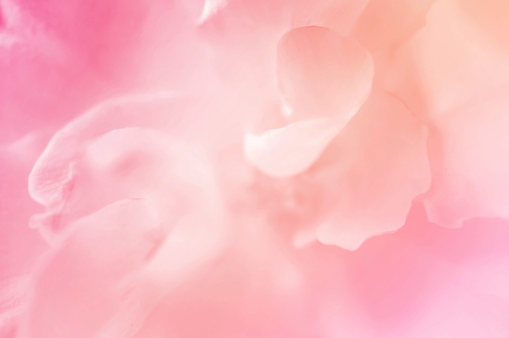 Light Pink Background