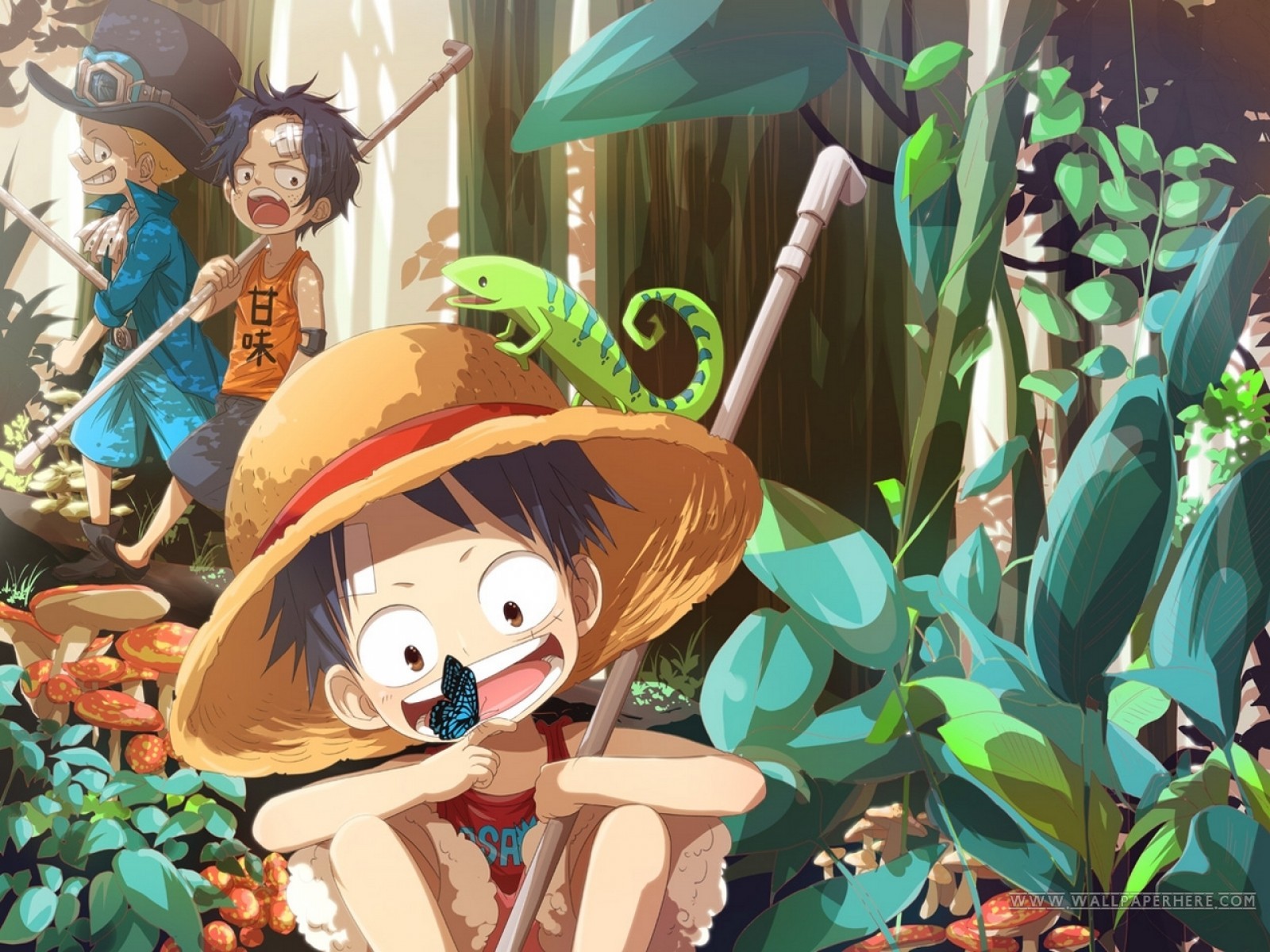 One Piece Wallpaper