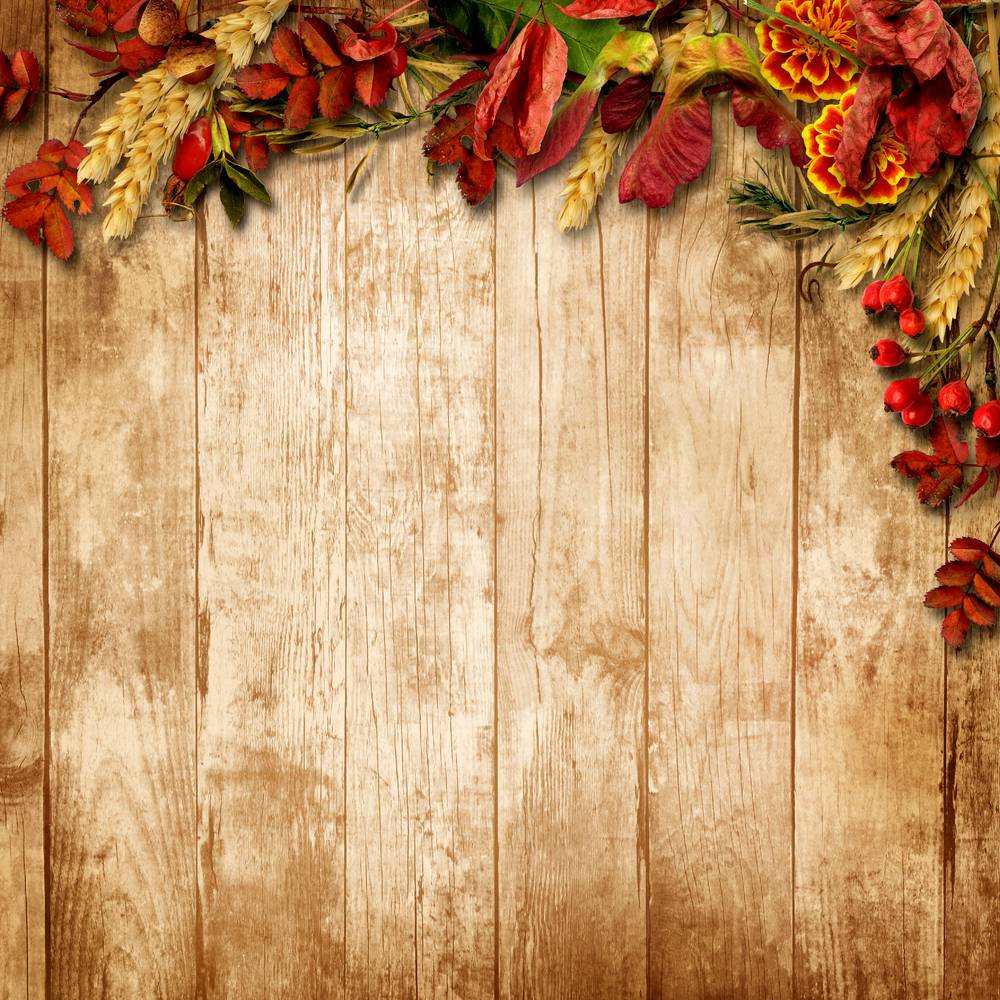 Thanksgiving Background